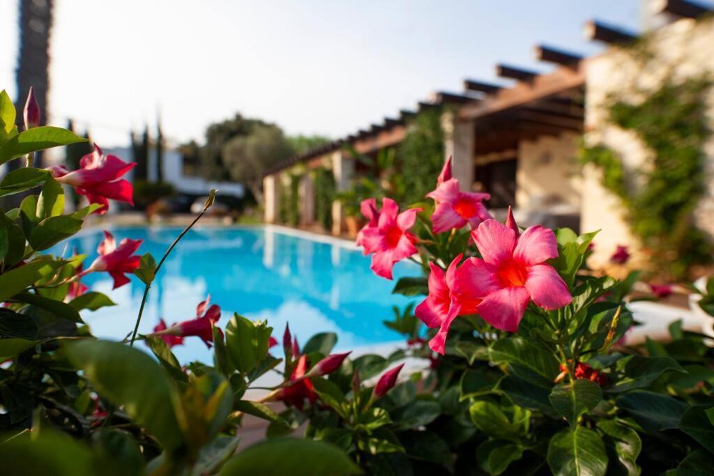 Spaziosa Villa Con Piscina E Giardino, Polignano A Mare Zewnętrze zdjęcie