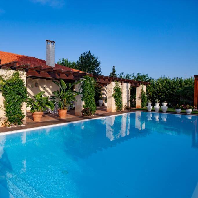 Spaziosa Villa Con Piscina E Giardino, Polignano A Mare Zewnętrze zdjęcie